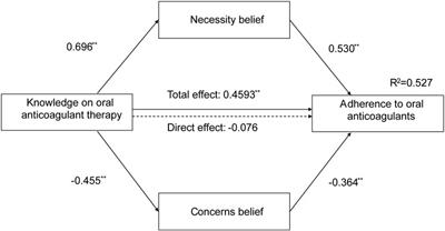 Adherence, belief, and knowledge about oral anticoagulants in patients with bioprosthetic heart valve replacement: a cross-sectional study